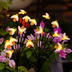 PACHET PROMOTIONAL !!! 3+1 GRATIS - Lampa Solară Decorativă cu 6 Albinuțe LED, Lumină Caldă, IP65, Senzor de Lumină, FLASH
